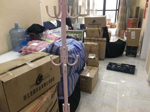 真武廟地區(qū)搬家公司推薦 便捷搬家與搬廠服務(wù)盡在掌握